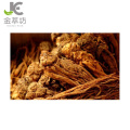 factory supply angelica root extract powder 10:1 for women's health care